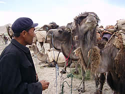 Is this my good side or perhaps this one? Rosa Khun mulling over a third camel?.