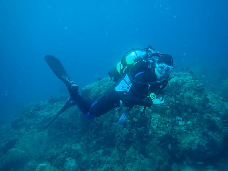 caz diving