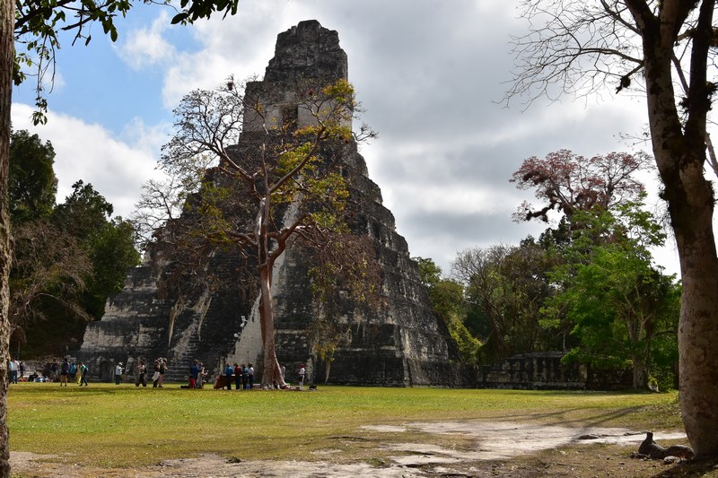 tikal