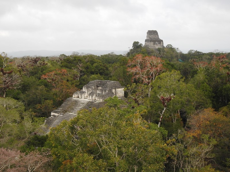 tikal