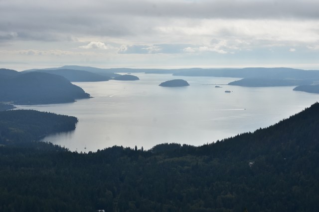 Orcas
          Island