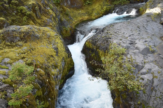 Mount St
          Helens National Volcanic Monument