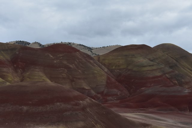 John Day
          Fossil Beds National Monument