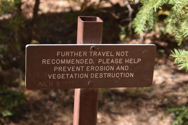 Zion
          National Park