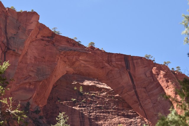 Zion
          National Park