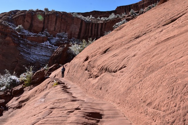 Navajo
          Nation