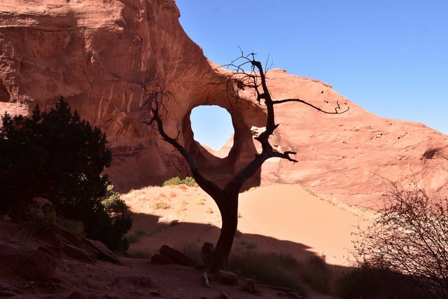 Navajo
          Nation