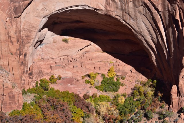 Navajo
          Nation