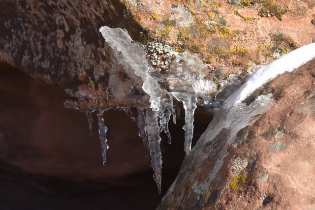 Navajo
          Nation