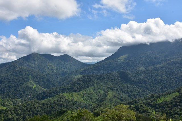 The Lost
          City Trek