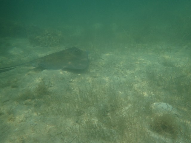 Lockdown in
        Belize