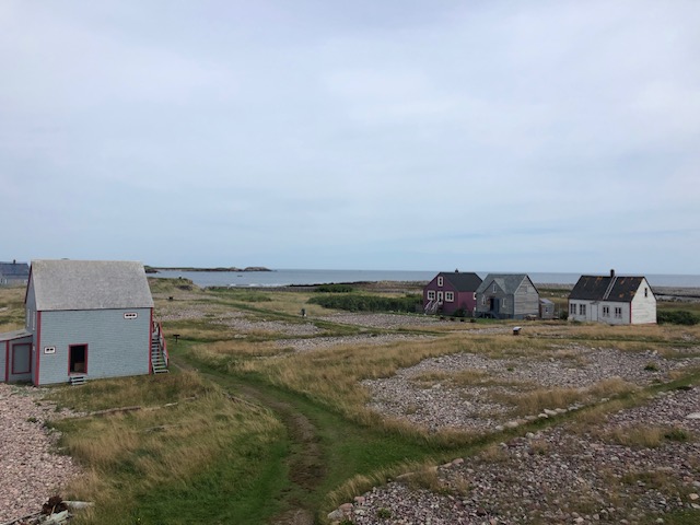image1.jpeg