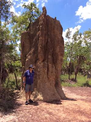 m_termite mound.jpg