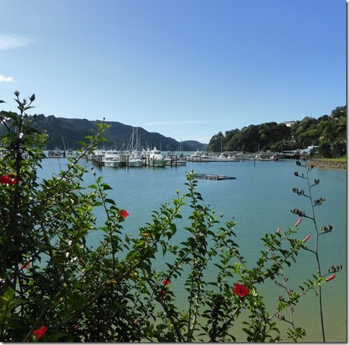 blog whangaroa