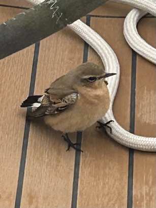 m_IMG_3009.jpeg