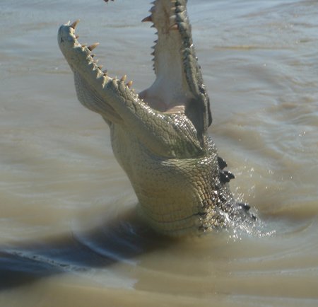 Adelaide River near Darwin