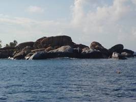 m_2010-02-17 BVI's 002.jpg