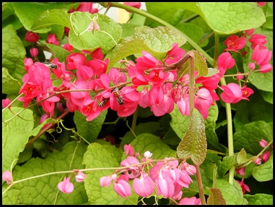 DSCN0507