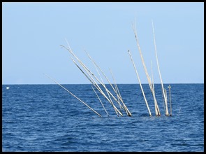 DSCN3787
