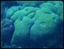 P7090112