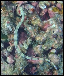P7090100
