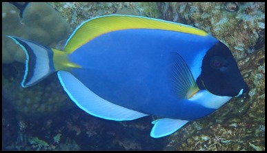 P7090126