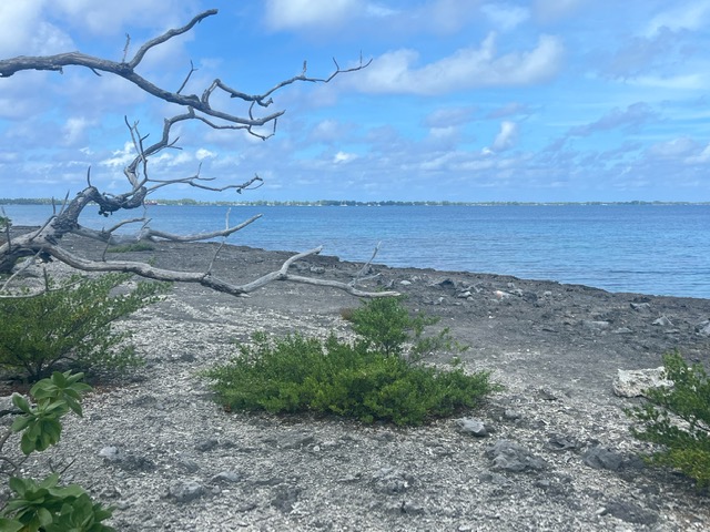 image7.jpeg