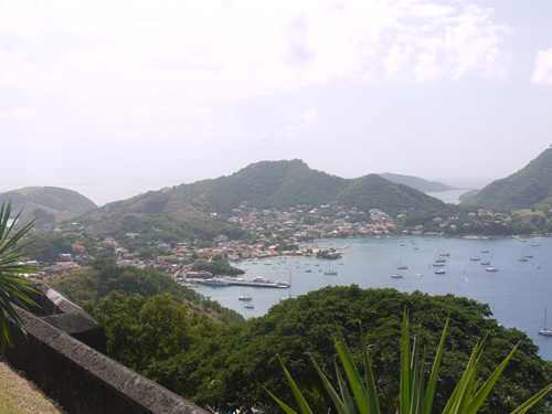 m_P1000860.jpg