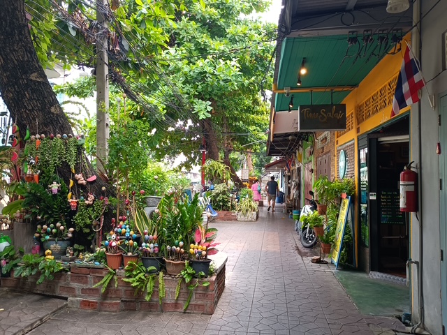 image1.jpeg