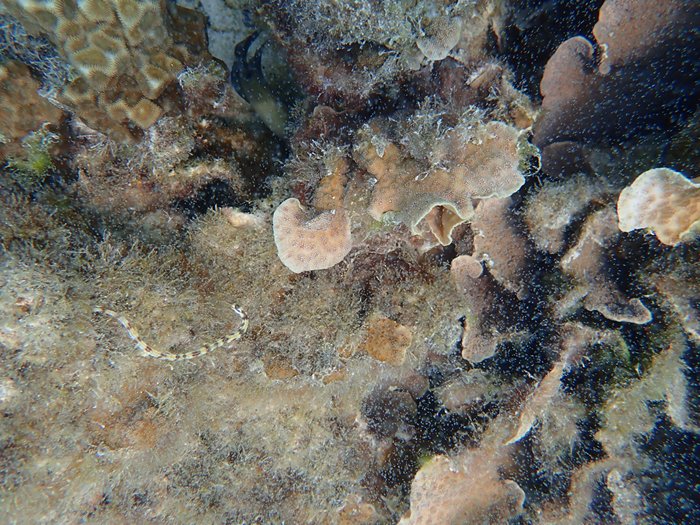 cid:5d19545f-2264-496b-badd-8d86925badca