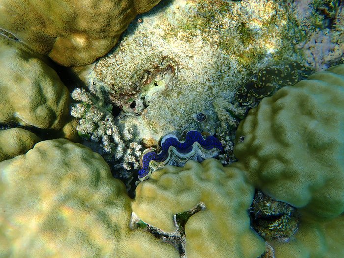 cid:da3a38ab-d5e6-4cb9-9e12-a1a98197a1aa