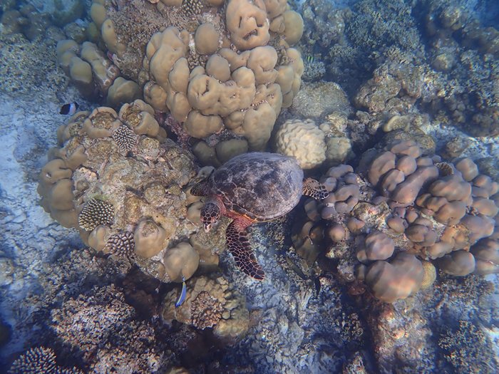 cid:0c7ae725-73db-4824-8661-2eac1b690f08