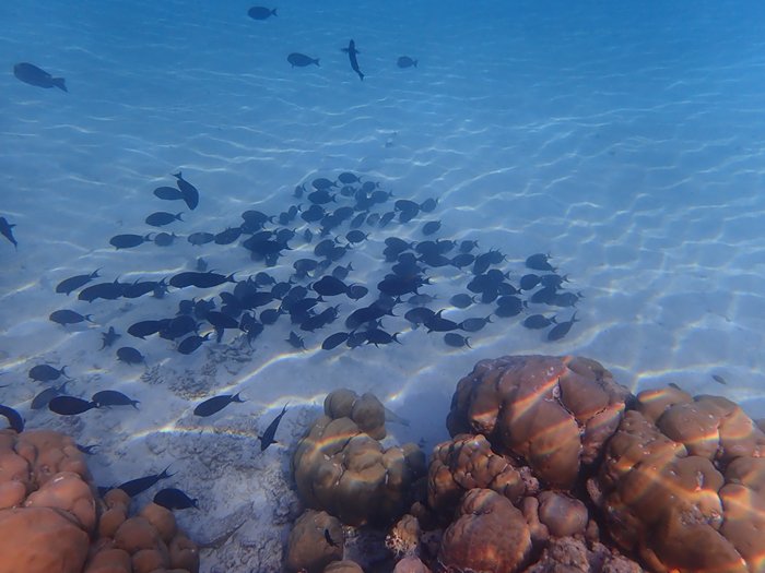 cid:c861d08d-d18d-45e9-af05-1eb99fae5910