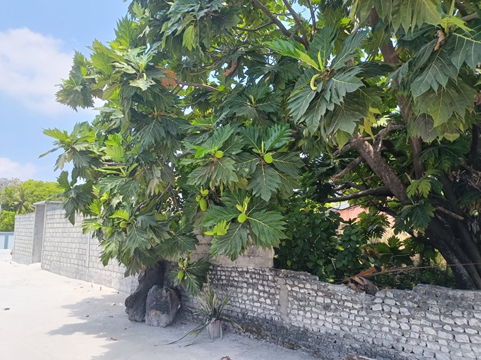 cid:fa030198-417f-4150-80f0-8170f5d71880