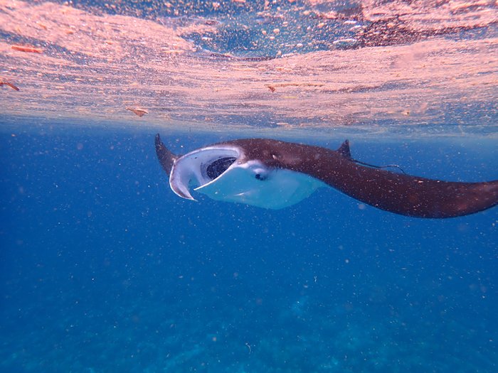 cid:a496bd2b-f02b-4d47-ad6c-f0bb3b44ae22