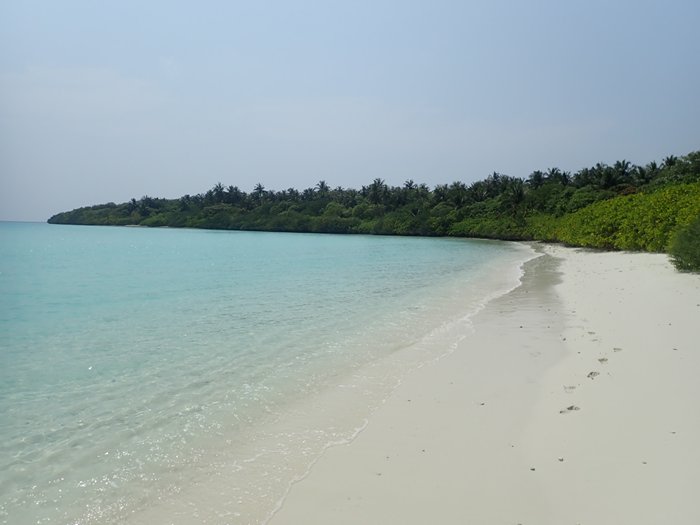 cid:9b640a9f-c519-49ca-814f-3b7acd6eb7f7