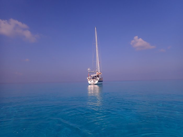 cid:294c10a2-3f87-45d3-b72c-59b235e61f69