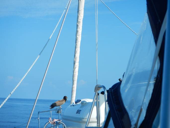 DSCN0821.JPG