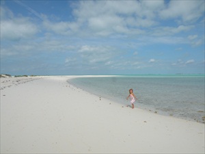 Osprey Cay 081