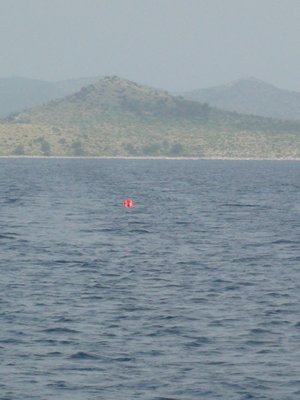 m_P1110695