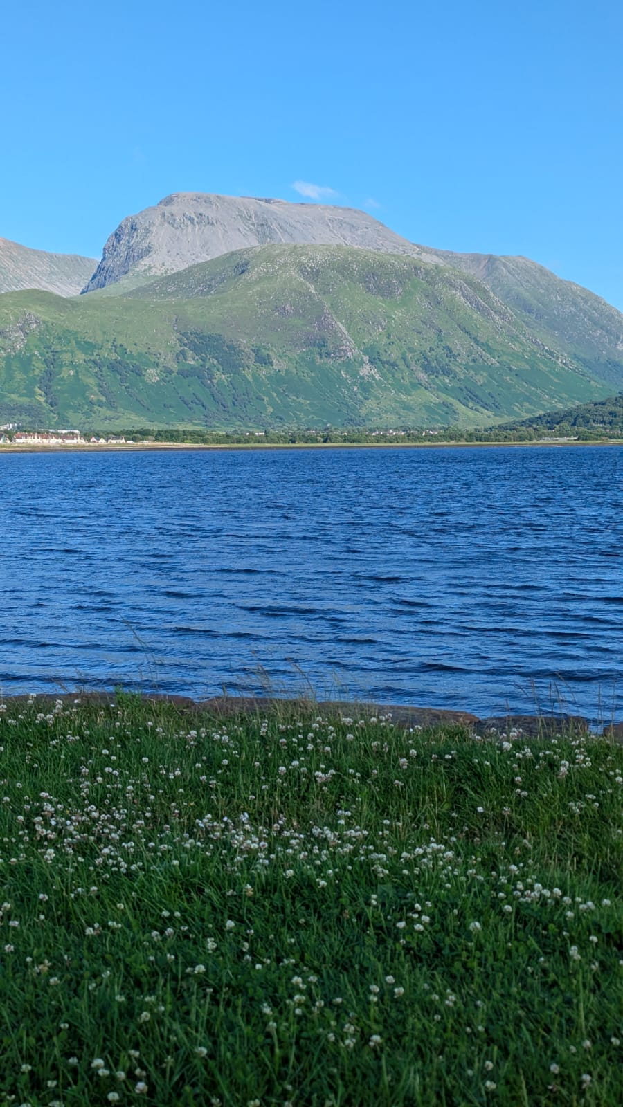 JPEG image