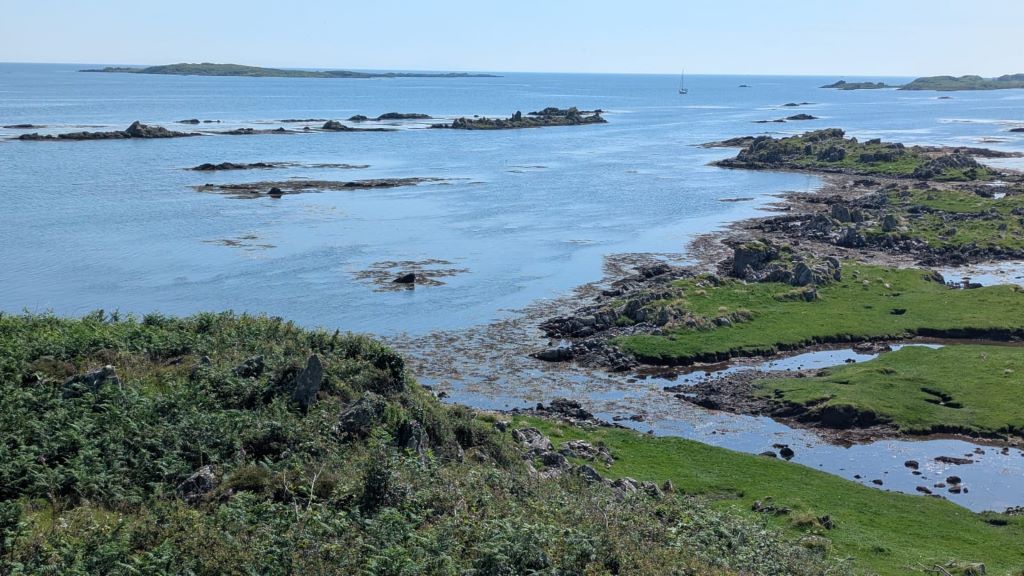 JPEG image